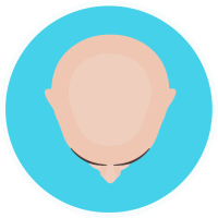 Ludwig Stage 2
