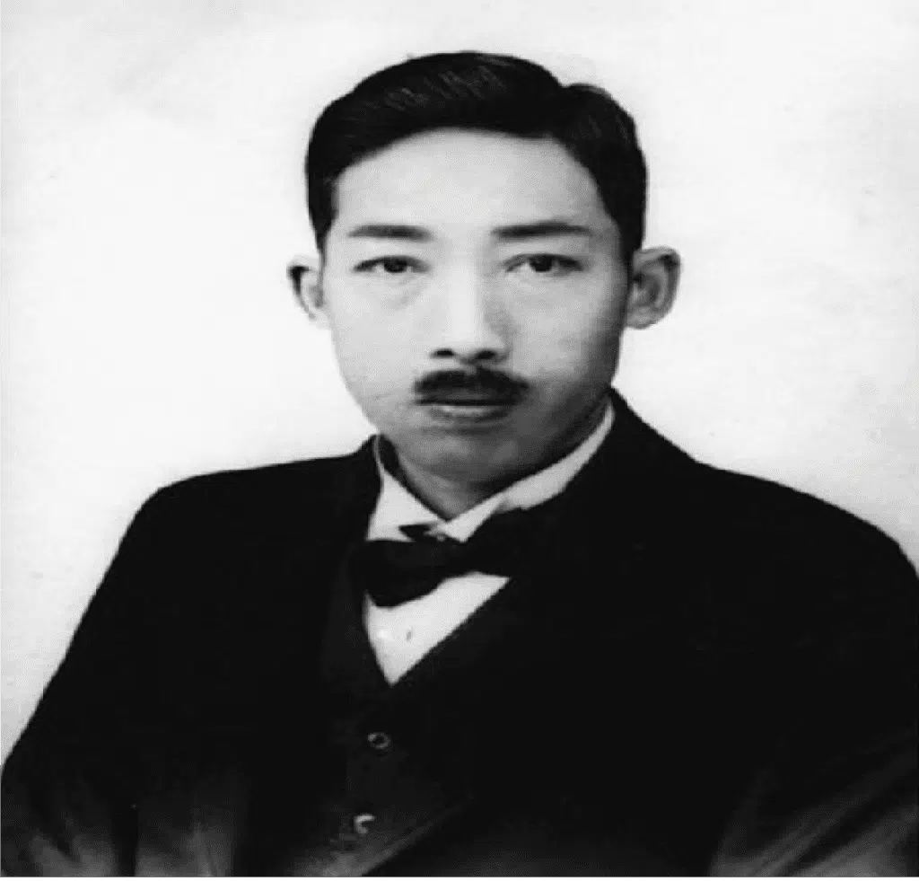 history of hair transplants